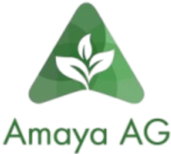 Amaya AG